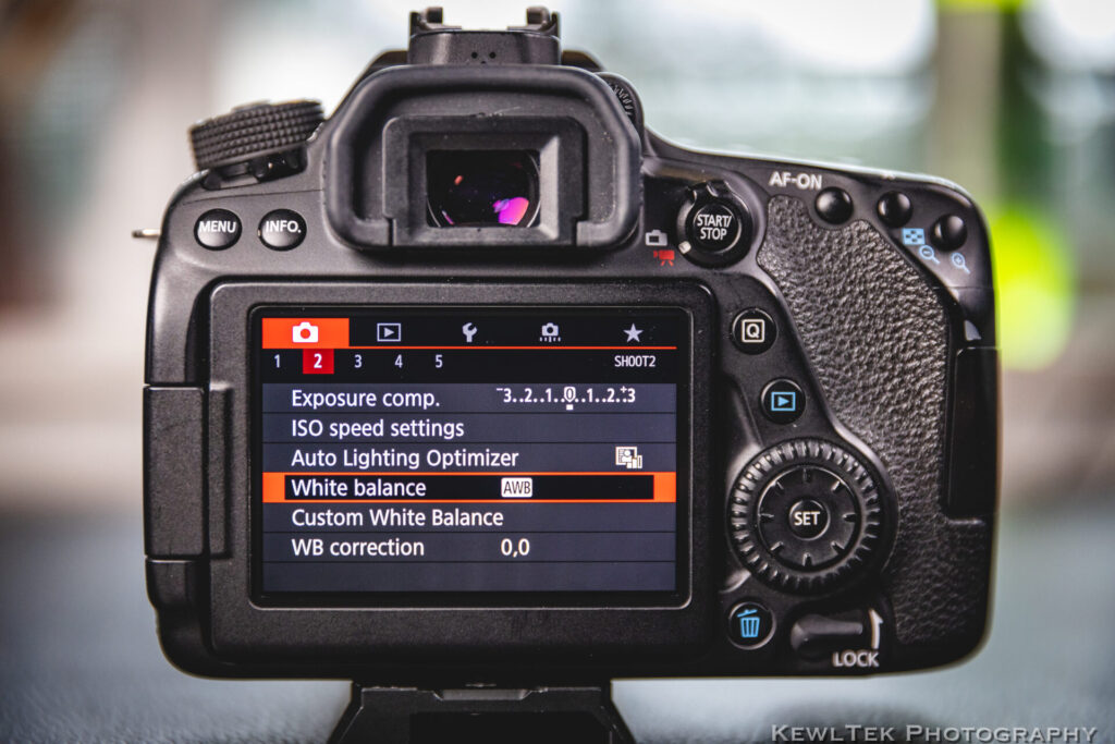 canon 80d bit rate