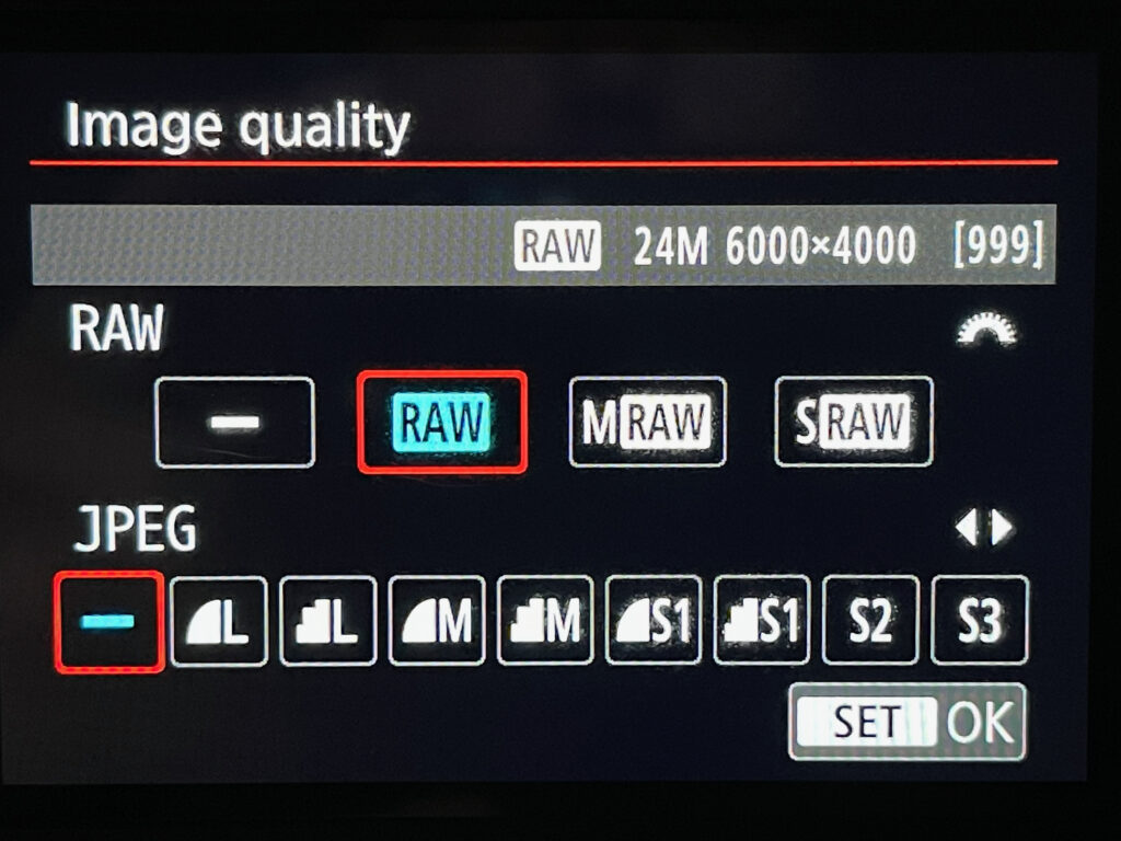 Image of Canon 80D camera settings menu where photographers select RAW and JPEG file formats.