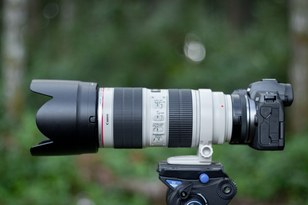 Photo of a Canon EOS R with a 70-200mm telephoto lens mounted to a tripod outside in the woods.