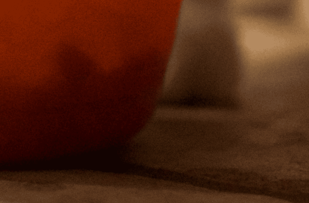 Close-up of digital noise in shadow areas caused by high ISO in low indoor light